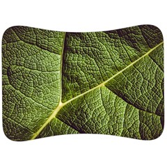 Green Leaf Giant Rhubarb Mammoth Sheet Velour Seat Head Rest Cushion