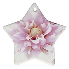 Abstract Transparent Image Flower Ornament (star) by Wegoenart