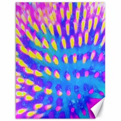 Pink, Blue And Yellow Abstract Coneflower Canvas 18  X 24  by myrubiogarden