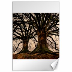 Ent Treant Trees Tree Bark Barks Canvas 20  X 30 