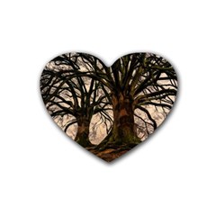 Ent Treant Trees Tree Bark Barks Rubber Coaster (Heart) 