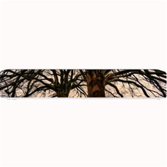 Ent Treant Trees Tree Bark Barks Small Bar Mats