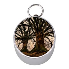 Ent Treant Trees Tree Bark Barks Mini Silver Compasses