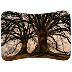 Ent Treant Trees Tree Bark Barks Velour Seat Head Rest Cushion