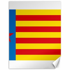 Valencian Nationalist Senyera Canvas 12  X 16  by abbeyz71