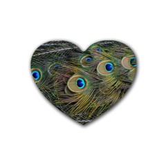 Peacock Tail Feathers Close Up Heart Coaster (4 Pack)  by Pakrebo