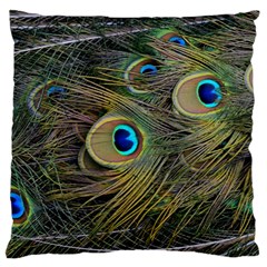 Peacock Tail Feathers Close Up Standard Flano Cushion Case (two Sides) by Pakrebo