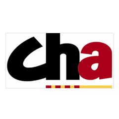 Logo Of Chunta Aragonesista Satin Shawl by abbeyz71