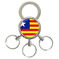 Flag Of Estado Aragonés 3-ring Key Chains by abbeyz71