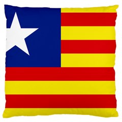 Flag Of Estado Aragonés Large Cushion Case (two Sides) by abbeyz71