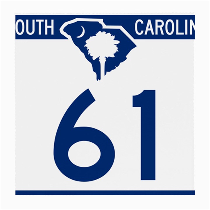 South Carolina Highway 61 Medium Glasses Cloth