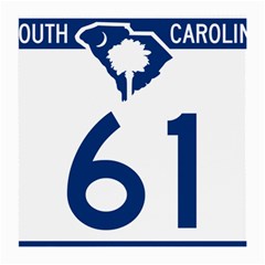 South Carolina Highway 61 Medium Glasses Cloth (2-side) by abbeyz71