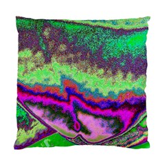 Clienmapcoat Standard Cushion Case (one Side) by PurpleDuckyDesigns