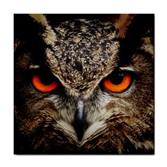 Owls Scowl Tile Coasters by WensdaiAmbrose