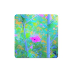 Pink Rose Of Sharon Impressionistic Blue Landscape Garden Square Magnet by myrubiogarden