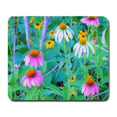 White And Purple Coneflowers And Yellow Rudbeckia Large Mousepads