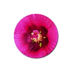 Deep Pink And Crimson Hibiscus Flower Macro Rubber Round Coaster (4 Pack)  by myrubiogarden