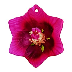 Deep Pink And Crimson Hibiscus Flower Macro Snowflake Ornament (two Sides) by myrubiogarden