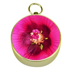 Deep Pink And Crimson Hibiscus Flower Macro Gold Compasses by myrubiogarden