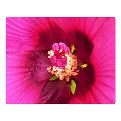 Deep Pink And Crimson Hibiscus Flower Macro Double Sided Flano Blanket (large)  by myrubiogarden