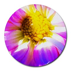 Purple, Pink And White Dahlia With A Bright Yellow Center Round Mousepads by myrubiogarden