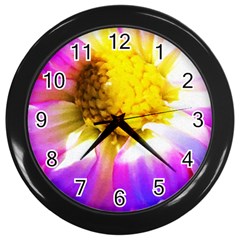 Purple, Pink And White Dahlia With A Bright Yellow Center Wall Clock (black) by myrubiogarden