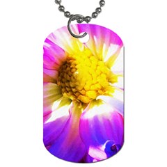 Purple, Pink And White Dahlia With A Bright Yellow Center Dog Tag (two Sides) by myrubiogarden