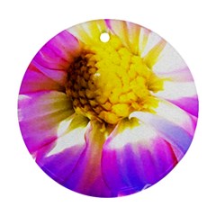 Purple, Pink And White Dahlia With A Bright Yellow Center Round Ornament (two Sides) by myrubiogarden