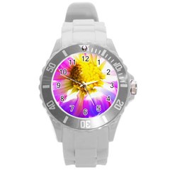 Purple, Pink And White Dahlia With A Bright Yellow Center Round Plastic Sport Watch (l) by myrubiogarden