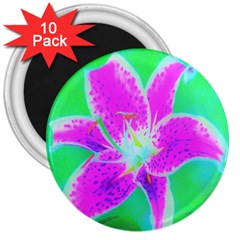 Hot Pink Stargazer Lily On Turquoise Blue And Green 3  Magnets (10 Pack)  by myrubiogarden