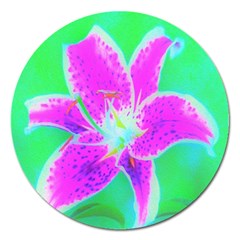 Hot Pink Stargazer Lily On Turquoise Blue And Green Magnet 5  (round) by myrubiogarden