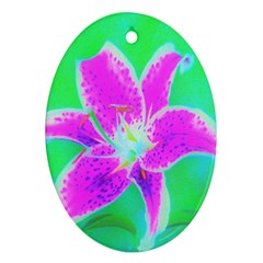 Hot Pink Stargazer Lily On Turquoise Blue And Green Oval Ornament (two Sides) by myrubiogarden