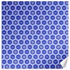 A Hexagonal Pattern Canvas 20  X 20  by Pakrebo