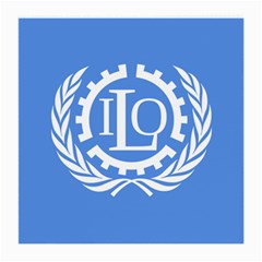 Flag Of International Labour Organization Medium Glasses Cloth by abbeyz71