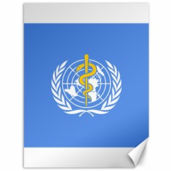 Flag Of World Health Organization Canvas 36  X 48  by abbeyz71