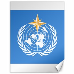 Flag Of World Meteorological Organization Canvas 36  X 48  by abbeyz71