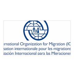 Logo Of International Organization For Migration Satin Shawl