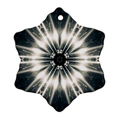 Abstract Fractal Space Ornament (snowflake)