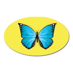 Butterfly Blue Insect Oval Magnet