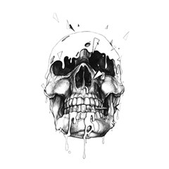 Black Skull Shower Curtain 48  X 72  (small)  by Alisyart