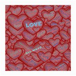 Love Hearts Valentine Red Symbol Medium Glasses Cloth Front