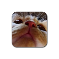 Funny Cute Cat Macro Eyes Rubber Coaster (square)  by LoolyElzayat