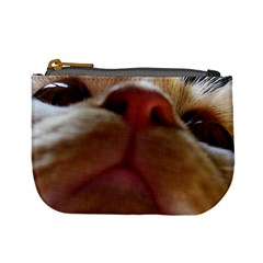 Funny Cute Cat Macro Eyes Mini Coin Purse by LoolyElzayat