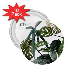Botanical Illustration Palm Leaf 2 25  Buttons (10 Pack) 