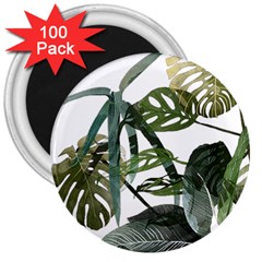 Botanical Illustration Palm Leaf 3  Magnets (100 Pack)