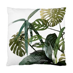 Botanical Illustration Palm Leaf Standard Cushion Case (two Sides)