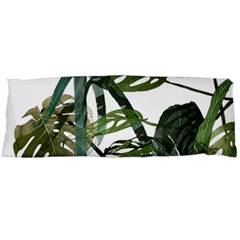 Botanical Illustration Palm Leaf Body Pillow Case (dakimakura) by Mariart