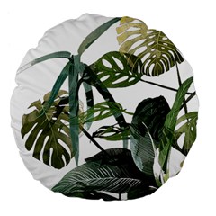 Botanical Illustration Palm Leaf Large 18  Premium Flano Round Cushions by Mariart
