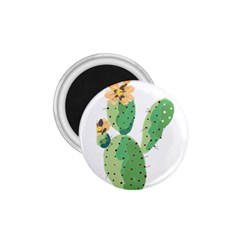 Cactaceae Thorns Spines Prickles 1 75  Magnets by Mariart