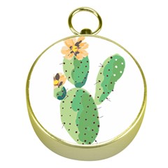 Cactaceae Thorns Spines Prickles Gold Compasses by Mariart